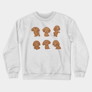 Toy-Poodle of various poses Crewneck Sweatshirt